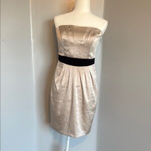 The Limited Cream Pleated Strapless Sheath Dress